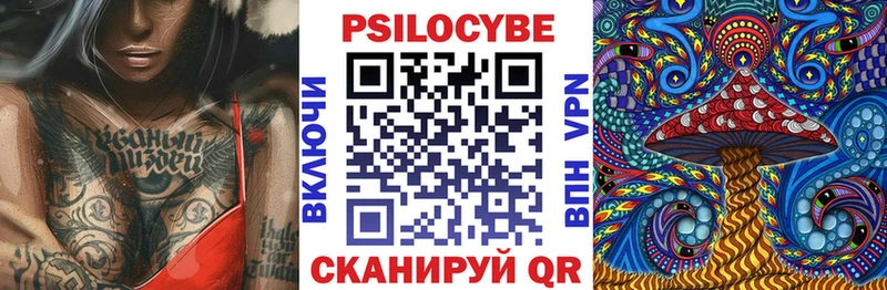закладки  Джанкой  Псилоцибиновые грибы Cubensis 